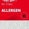 19.5x21x1 (Actual Size) DuPont™ Allergen Air Filter (MERV 11)