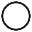 Everpure EV311240 Water Filter O-Ring (4.125-Inch Diameter)